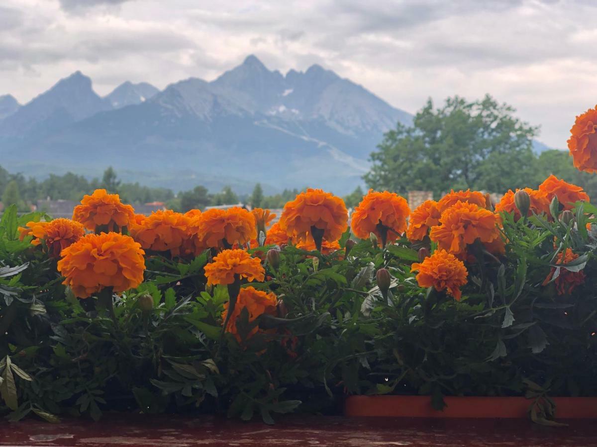 Penzion Bado Stará Lesná Esterno foto